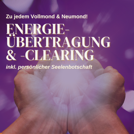 Shop_Bilder Shop_Bilder