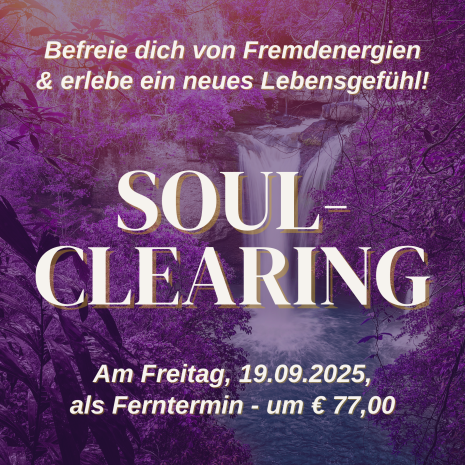 Shop_Bilder (2)